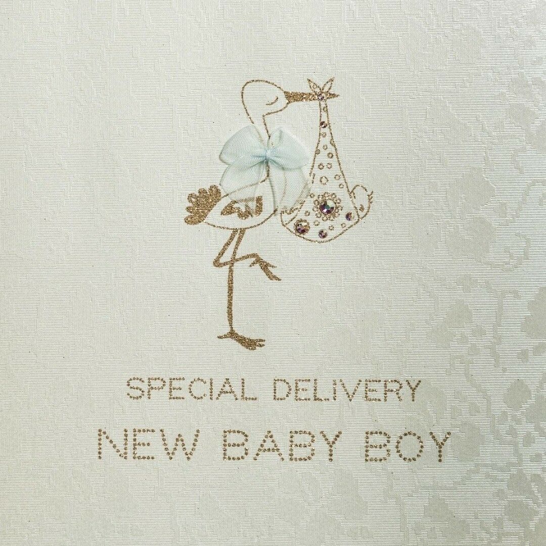 "Special Delivery New Baby Boy" Stork Greeting Card